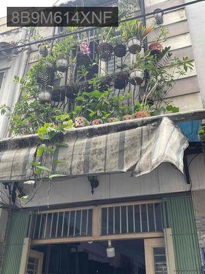 bán nhà tại Nguyễn văn công mặt tiền hẻm xe con chính chủ ko môi giới - Phường 3  -  Quận Gò Vấp 