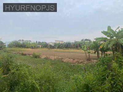 Chính chủ gia đình cần bán đất mặt tiền xã Bình Chánh - Xã Bình Chánh  -  Huyện Bình Chánh 