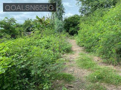 Bán đất - Xã Đông Thạnh  -  Huyện Cần Giuộc 