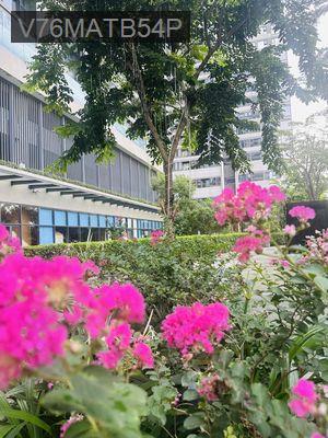 Bán căn hộ Cao Cấp Kingdom101 Quận 10 loại 1PN, 2PN , 3pn giá 5-10 tỷ - Phường 14  -  Quận 10  Bán căn hộ Cao Cấp Kingdom101 Quận 10 loại 1PN, 2PN , 3pn giá 5-10 tỷ - Phường 14  -  Quận 10