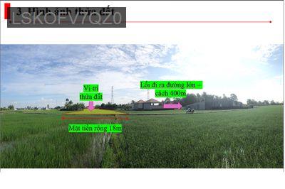Bán đất ruộng hơn 3000m2 để đi định cư nước ngoài - Xã Long Sơn  -  Huyện Cần Đước 