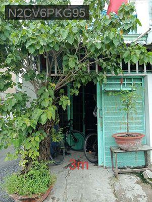 Minh đen - Phường Hiệp Thành  -  Quận 12 