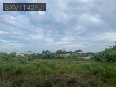 Cần bán đất mặt tiền Xã Bình Chánh, gần khu trung tâm Huyện BC cũ - Xã Bình Chánh  -  Huyện Bình Chánh 