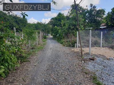 Xuất cảnh cần bán đất full thổ cư Ngay Thị Trấn Đức Hòa - Long An - Xã Đức Lập Hạ  -  Huyện Đức Hòa 