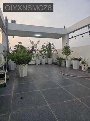 NHÀ PHỐ 4 TẦNG, MỚI XÂY 2025 - Phường 7  -  Quận 8 