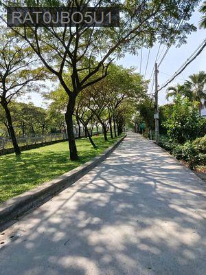 HXH Nhà trống ở ngay đón Tết, 2PN, TX31 Q12 - Phường Thạnh Xuân  -  Quận 12 