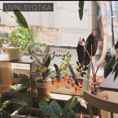 CẦN SANG QUÁN CF CÓ LƯỢNG DOANH THU ỔN ĐỊNH NGAY KHU VĂN PHÒNG - Phường Võ Thị Sáu  -  Quận 3  CẦN SANG QUÁN CF CÓ LƯỢNG DOANH THU ỔN ĐỊNH NGAY KHU VĂN PHÒNG - Phường Võ Thị Sáu  -  Quận 3