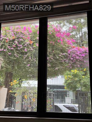Cần bán gấp nhà phố đẹp - Phường An Phú  -  Quận 2 