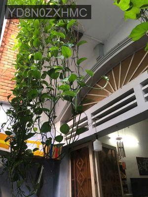 NHÀ CHÍNH CHỦ GẦN SÂN BAY (12 phút) chưa qua KD, vượng khí tốt. 4.6 tỷ - Phường 1  -  Quận Gò Vấp 