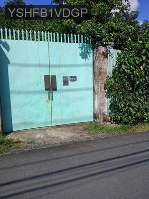 Bán 5000m đất đường Dương Đình Cúc, Tân Kiên , Bình Chánh - Xã Tân Kiên  -  Huyện Bình Chánh 