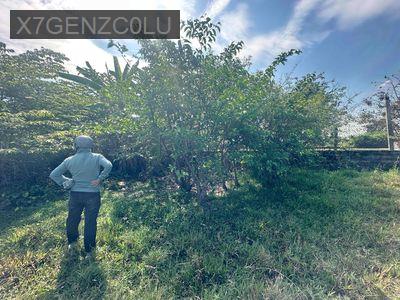 Đất đẹp chính chủ - Xã Đức Hoà Thượng  -  Huyện Đức Hòa 