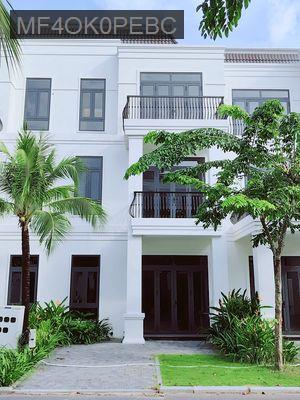 Cơ hội sở hữu biệt thự cao cấp giá rẻ 4PN 4WC chưa từng có - Xã Tân Mỹ  -  Huyện Đức Hòa 