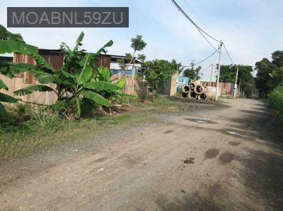 💥CHÍNH CHỦ BÁN GẤP 1150m2 ĐẤT VƯỜN BÌNH LỢI 💥 - Xã Bình Lợi  -  Huyện Bình Chánh 