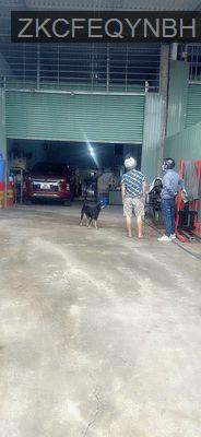 NGỘP GẤP ĐẤT 191M2 NGANG 6M CÓ KHO ĐANG CHO THUÊ 10TR - Phường Tân Bình  -  Thị xã Dĩ An 