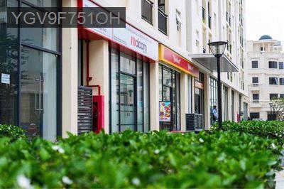 mặt bằng kinh doanh thuong mại - Phường 10  -  Quận Gò Vấp 