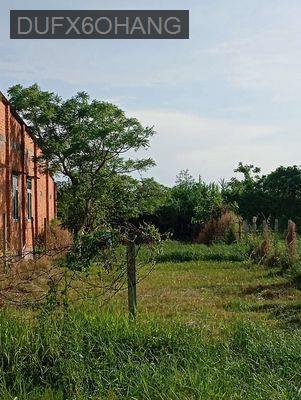 Bán đất mặt tiền đường tỉnh lộ 2 tiện kinh doanh mua bán - Xã An Nhơn Tây  -  Huyện Củ Chi 