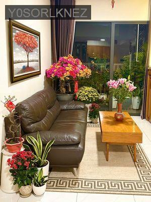 Cần bán gấp căn hộ Safira KĐ, 87m2 3PN - 2WC Full nội thất sổ hồng sẵn - Phường Phú Hữu  -  Quận 9 