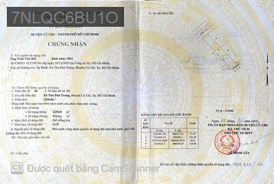 Bán đất mặt tiền kênh T3 xã tân phú trung củ chi - Xã Tân Phú Trung  -  Huyện Củ Chi 