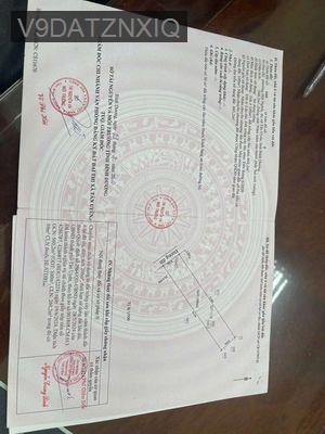 Loa loa Siêu ngộp cứu chủ từ 7,5 tỷ xuống 5,4 tỷ  ac phai nhanh ạ - Xã Hội Nghĩa  -  Thị xã Tân Uyên 
