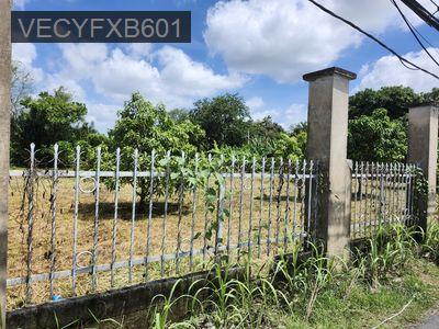 Bán đất mặt tiền đường Long Phước, Phường Long Phước, Tp HCM - Phường Long Phước  -  Quận 9 