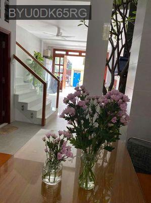 Bán nhà hẻm 2 ô tô cách đường Ng V Quá - Ng T Gạch 50m - Phường Đông Hưng Thuận  -  Quận 12 