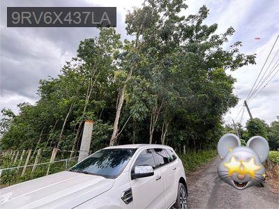 Chính chủ cần bán 2.189m2 đất sổ đỏ xây dựng nhà xưởng - Phường Chánh Phú Hòa  -  Thị xã Bến Cát 