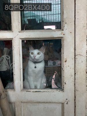 Cần bán nhà cấp 4 trệt cũ, diện tích đất 4x20m, xây dựng 4x17m - Phường Linh Trung  -  Quận Thủ Đức 