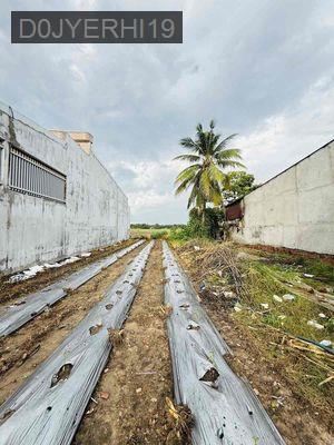 ĐẤT MẶT TIỀN – ĐỨC HOÀ – DT: 343m2 ( 11 X 34 ) - ĐẤT Ở - SỔ HỒNG VUÔNG - Xã Lộc Giang  -  Huyện Đức Hòa 