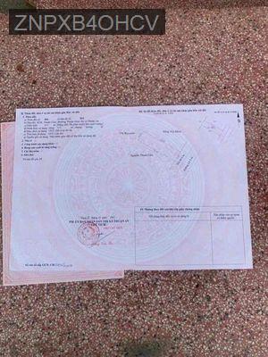 nhà kdc thuận giao tphcm - Phường Thuận Giao  -  Thị xã Thuận An 