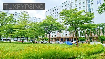 NHẬN ĐẶT MUA CĂN 1PN , 2PN TẠI EHOME3 ,SỔ CHÍNH CHỦ,CHƯA QUA ĐẦU TƯ - Phường An Lạc  -  Quận Bình Tân 