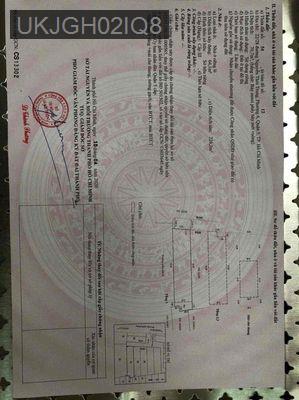 hạ giá bán gấp nhà CĂN HỘ DỊCH VỤ. trung tâm quận 5 - Phường 6  -  Quận 5 