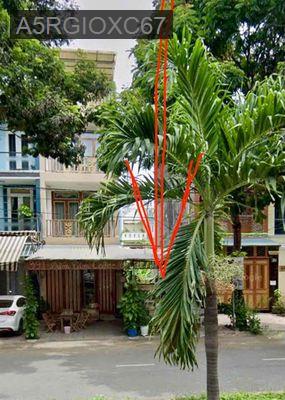 bán đất vị trí cực đẹp - Xã Vĩnh Lộc B  -  Huyện Bình Chánh 
