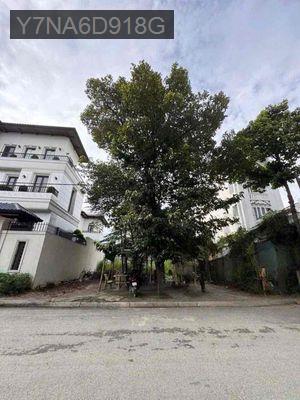 ĐẤT XÂY BIỆT THỰ ĐƯỜNG 12M , XÂY TỰ DO KHU DÂN TRÍ CAO - Phường Thới An  -  Quận 12 