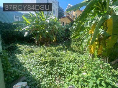 💥ĐẤT NGAY LÊ CƠ,AN LẠC,BÌNH TÂN. HẺM BA GÁC, 5M X 15M,SỔ VUÔNG A4 - Phường An Lạc  -  Quận Bình Tân 