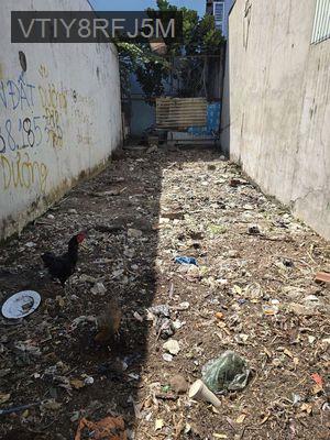 Cơ hội tốt sở hữu đất mặt tiền đuong to nhu pham van đồng duoi 7 tỷ - Phường Linh Đông  -  Quận Thủ Đức 