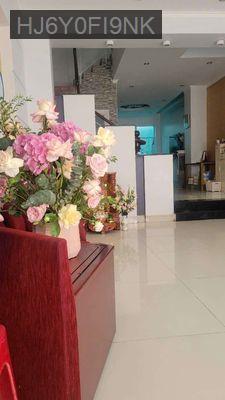 Nhà chính chủ - Phường An Phú  -  Quận 2 