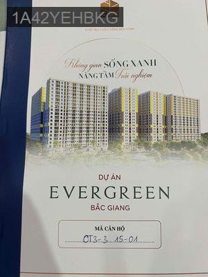Chung cư Ergreen tại Việt Yên Bắc Giang - Phường Phú Mỹ  -  Quận 7 