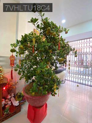 bán nhà phú nhuận trung tâm - Phường 5  -  Quận Phú Nhuận 