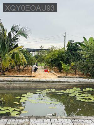 Bán đất vườn sẵn khuôn viên nhà vườn - Xã Bình Mỹ  -  Huyện Củ Chi 