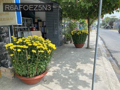 NHÀ MẶT TIỀN PHẠM THI GIẤY, 5X30M, 8.5 TỶ, HH 3% - Xã Thới Tam Thôn  -  Huyện Hóc Môn 