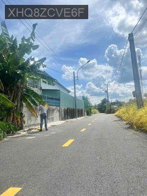 Chủ ngộp bank cần bán gấp lô đất ngay KCN Mỹ Phước - Phường Mỹ Phước  -  Thị xã Bến Cát 