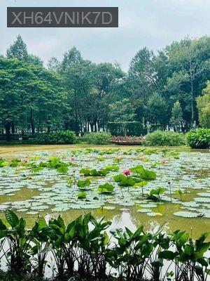 Chính chủ Bán căn hộ Celadon  – E303 – 3PN, full NT, Ban công - Phường Sơn Kỳ  -  Quận Tân Phú 