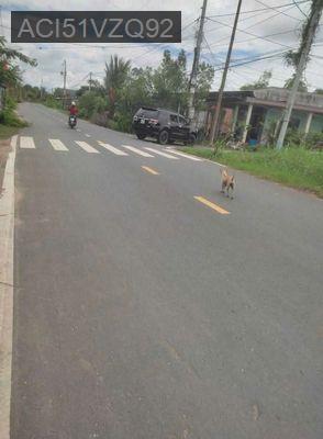 Đất Đức Hoà Long An - Xã Đức Lập Hạ  -  Huyện Đức Hòa 