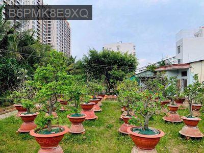 Bán 2000m2 đất mặt tiền lê tấn bê, kế chung cư akari - Phường An Lạc  -  Quận Bình Tân 
