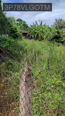 🔥 Bán Gấp Đất 158m² Ấp Mới 2, Gần Chợ – Sổ Riêng, Giá Chỉ 1 Tỷ 6 - Xã Mỹ Hạnh Nam  -  Huyện Đức Hòa 