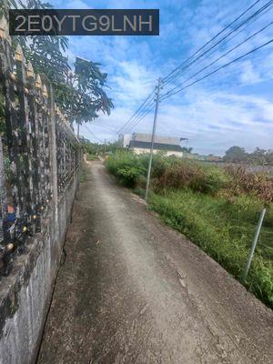 Đất 100% thổ cư - Xã Phước Vân  -  Huyện Cần Đước 