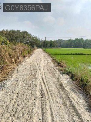 Bán đất trồng cây 2394m ( đã tách ra 4 sổ), ngang 96x25, đường  đá bi - Xã An Nhơn Tây  -  Huyện Củ Chi 