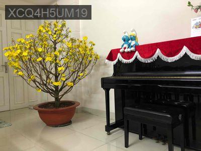 CHÍNH CHỦ BÁN NHÀ MẶT TIỀN - Phường 9  -  Quận Phú Nhuận 