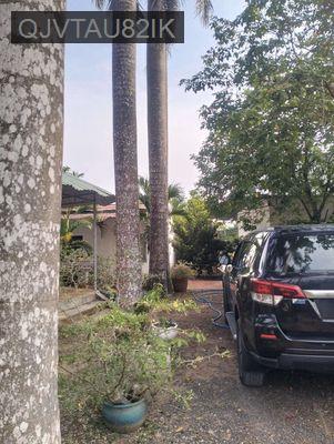 Chính chủ cần bán gấp nhà xưởng 364m2 ở lê minh xuân bình chánh hcm - Xã Lê Minh Xuân  -  Huyện Bình Chánh 