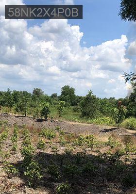 Đất thổ cư - Xã Hựu Thạnh  -  Huyện Đức Hòa 